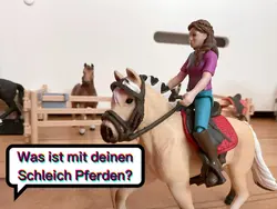 Was ist mit Schleich