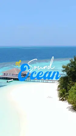 Travel vlogg