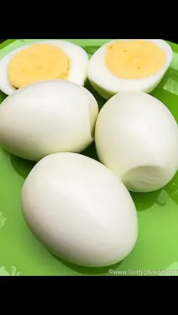 protein 