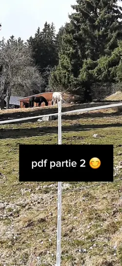 pdf partie 2