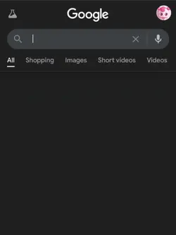 Google Search