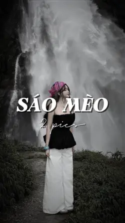 SÁO MÈO
