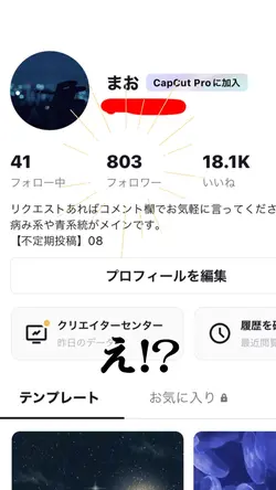 フォロワーさん800人突破！ありがとう😭