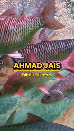 Ahmad jais