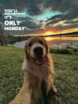 it's only monday 