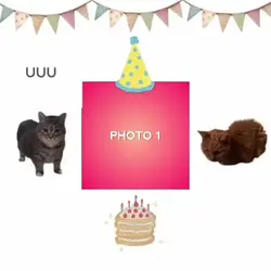Birthday Cat