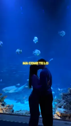 Scelta