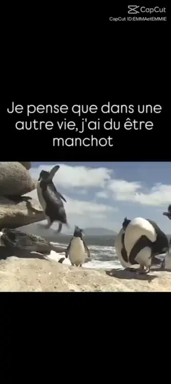 mon autre vie