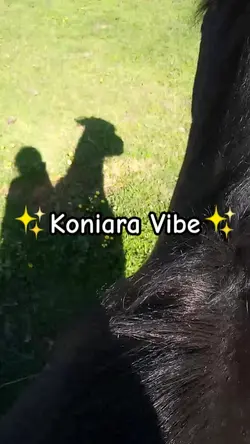 Koniara Vibe