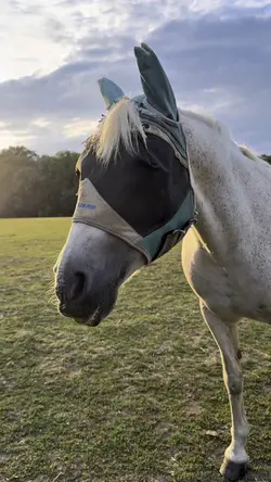 Aww