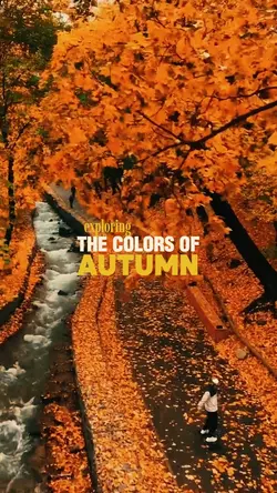 autumn