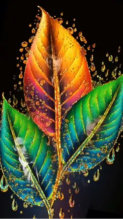 Leaves 🍁