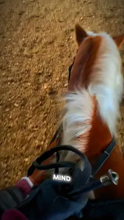 Horse Edit