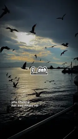 1 ảnh