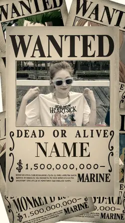 One Piece Wanted
