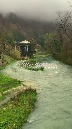 July diaries~