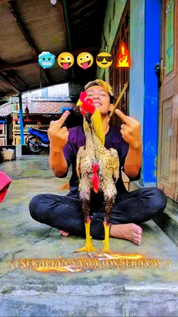 tujukan pesona muuu