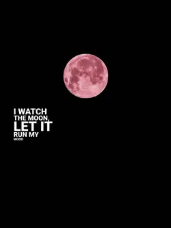 PINK MOON