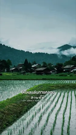 คายอ้อ [cover]
