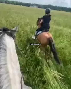 This feeling