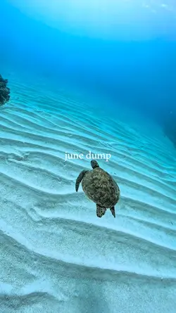 june dump