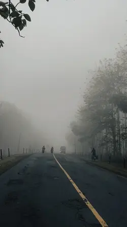 kabut full