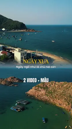 Vị nhà 2 video