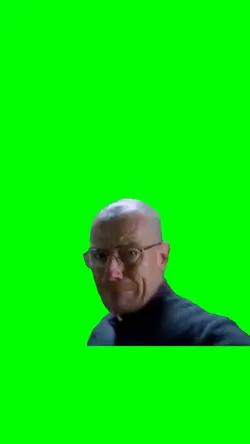 Walter White Punchs 