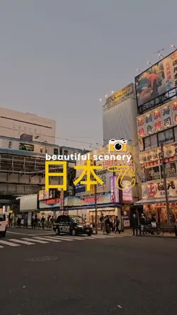 日本の美しさ