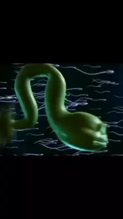 green sperm meme 