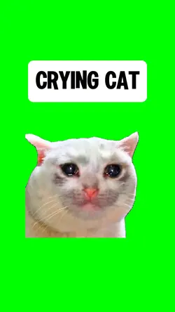 CRYING CAT