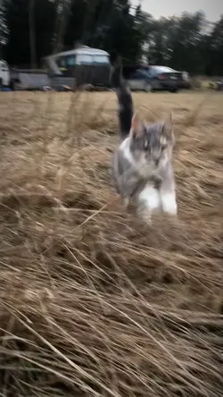 Smooth operatorr