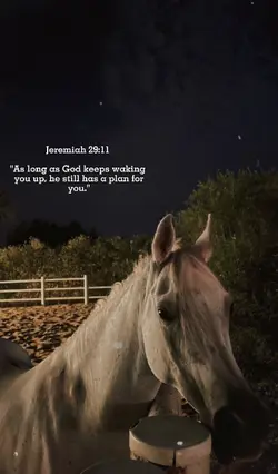 Jeremiah 29:11