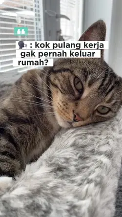 Aku Kecapekan