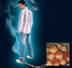 meme
