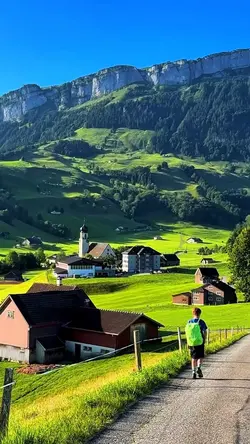 9 video nature story