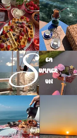seda summer sun