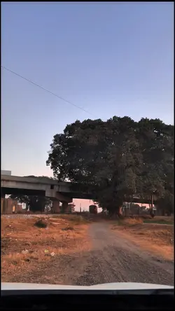nature vibes 