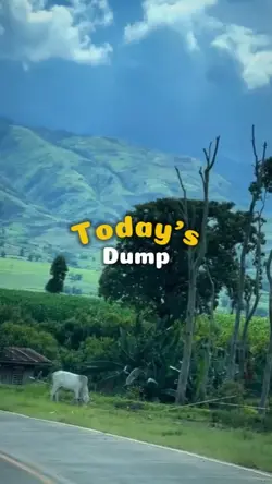 Today's Dump 