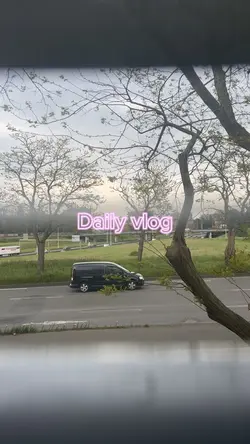 Daily vlog