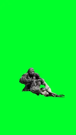 Kingkong Fighting