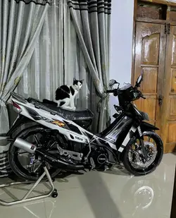 lagu aesthetic viral