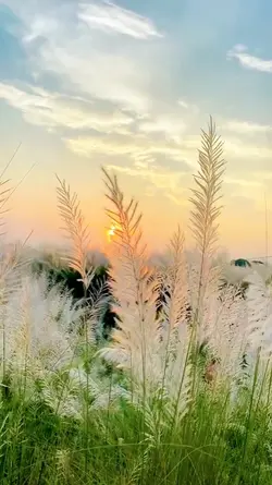 4 video aesthetic hd