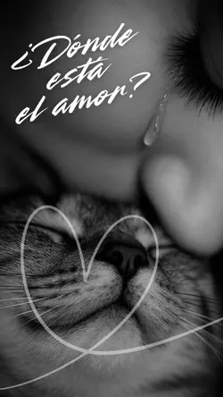 Dónde está el amor?