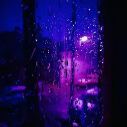 ~ Midnight purple ~