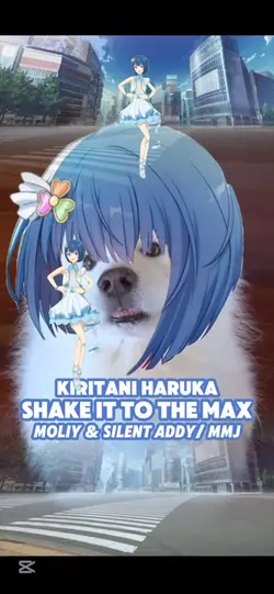 SHAKE IT TO THE MAX