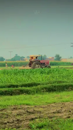 PUNJAB❤️