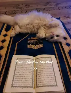 muslim 