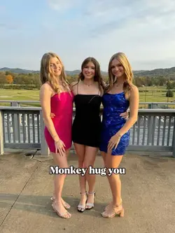 Monkey hug you 