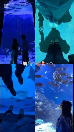 aquarium date 